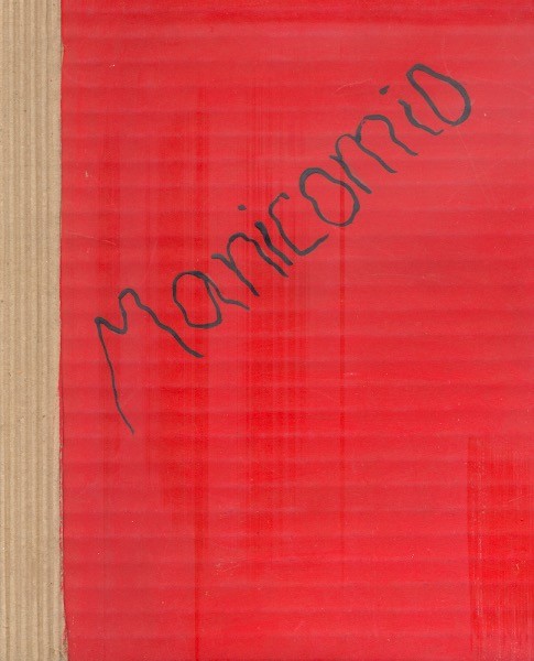 Manicomio por Maurizio Medo. Books From México
