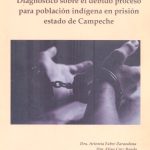 Diagnóstico sobre el debido proceso para población indígena en prisión estado de Campeche
